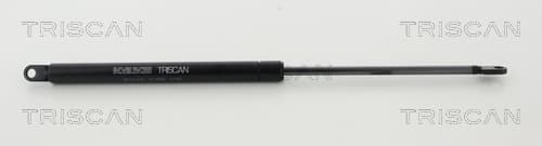 Gasfjäder fram
