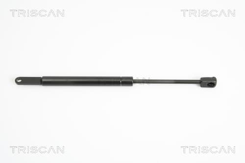 Gasfjäder fram