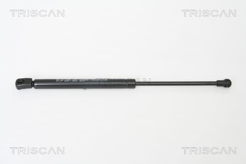 Gasfjäder fram