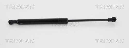 Gasfjäder fram