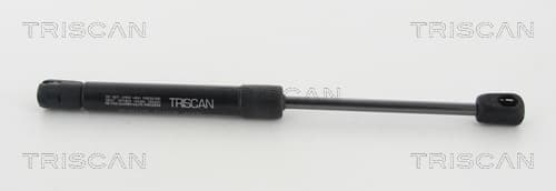 Gasfjäder fram