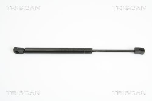 Gasfjäder fram