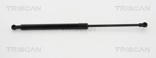 Gasfjäder fram