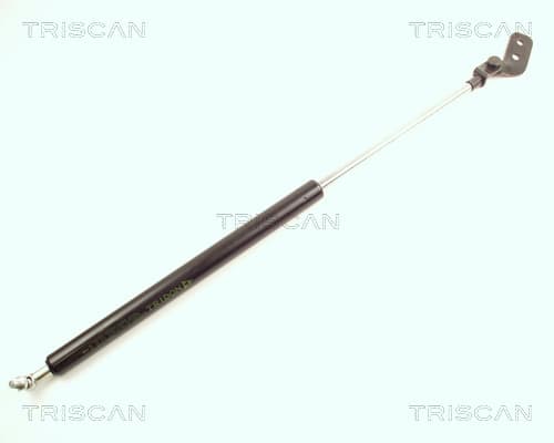Gasfjäder bak