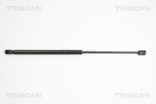 Gasfjäder bak från TRISCAN