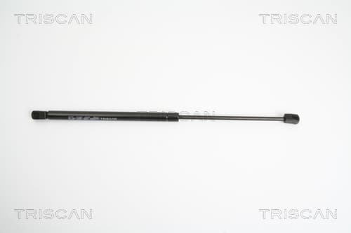 Gasfjäder bak från TRISCAN