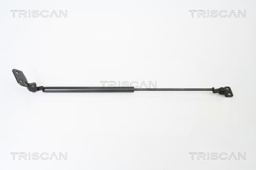 Gasfjäder bak från TRISCAN