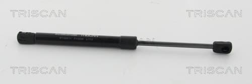Gasfjäder fram