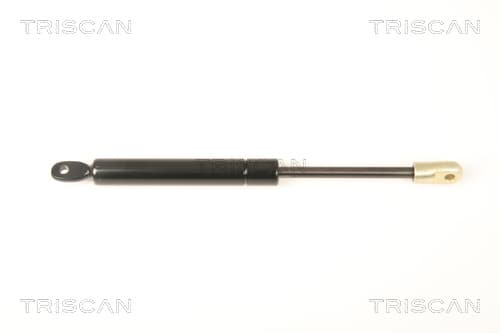 Gasfjäder bak från TRISCAN
