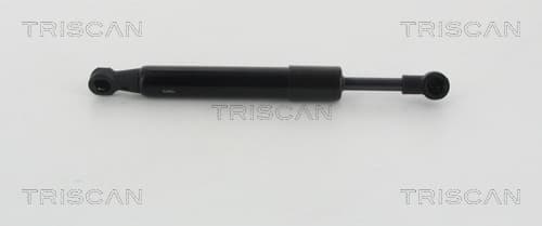 Gasfjäder bak från TRISCAN