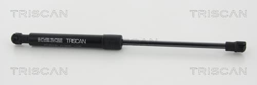 Gasfjäder fram
