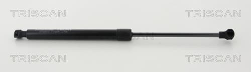 Gasfjäder fram
