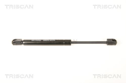 Gasfjäder fram