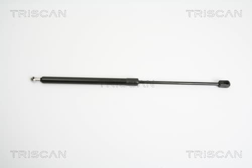 Gasfjäder fram