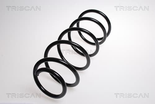 Spiralfjäder från TRISCAN