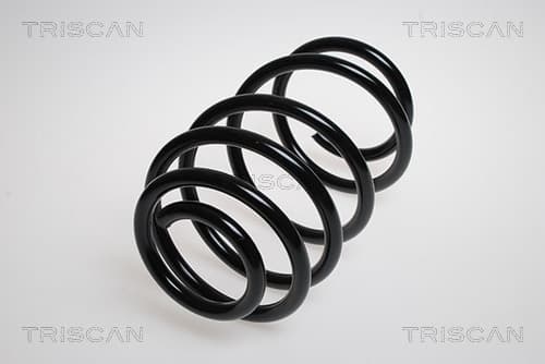 Spiralfjäder bak