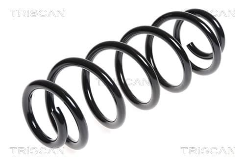 Spiralfjäder bak från TRISCAN