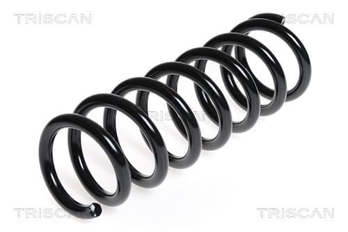 Spiralfjäder bak