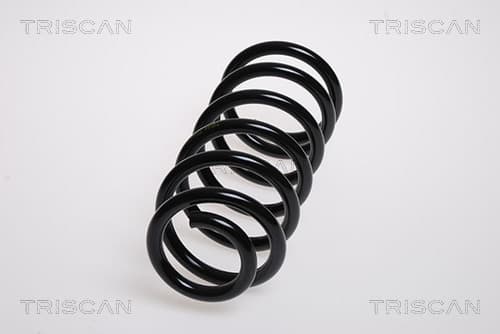 Spiralfjäder bak från TRISCAN