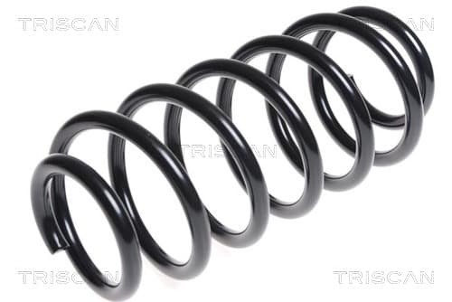 Spiralfjäder bak från TRISCAN