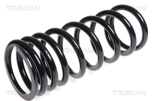 Spiralfjäder bak från TRISCAN