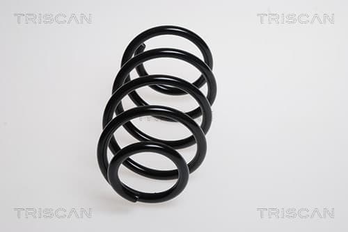 Spiralfjäder fram