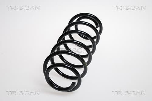 Spiralfjäder bak