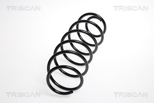 Spiralfjäder fram