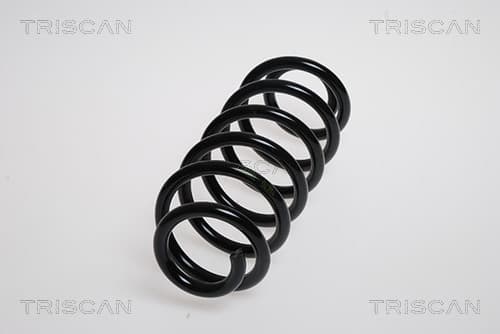 Spiralfjäder bak
