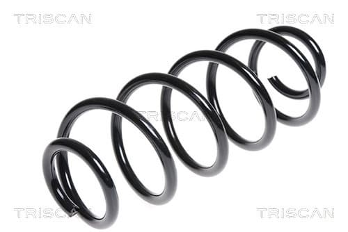 Spiralfjäder bak från TRISCAN