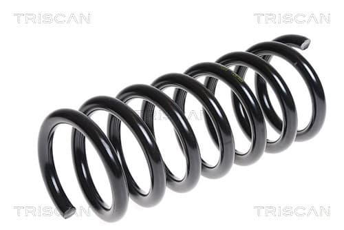 Spiralfjäder bak