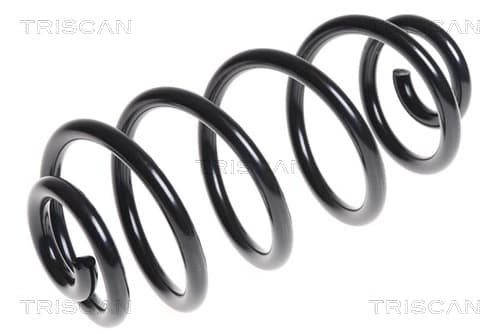 Spiralfjäder bak från TRISCAN