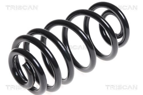 Spiralfjäder bak från TRISCAN