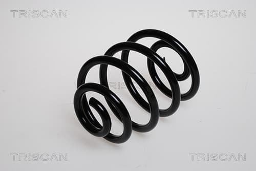 Spiralfjäder bak