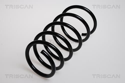 Spiralfjäder fram — framaxel från TRISCAN