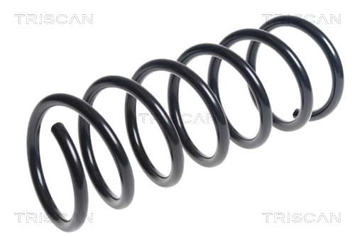 Spiralfjäder bak från TRISCAN