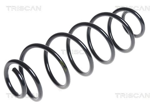 Spiralfjäder bak från TRISCAN