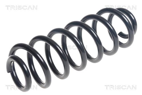 Spiralfjäder bak — Bakaxel från TRISCAN