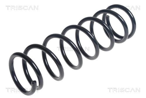 Spiralfjäder bak från TRISCAN