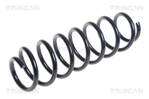 Spiralfjäder bak från TRISCAN