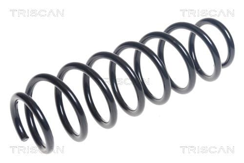 Spiralfjäder bak från TRISCAN