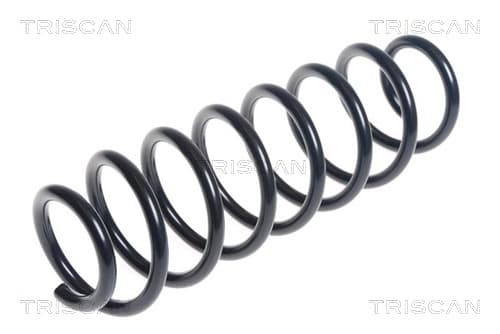 Spiralfjäder bak från TRISCAN