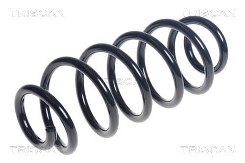 Spiralfjäder bak från TRISCAN