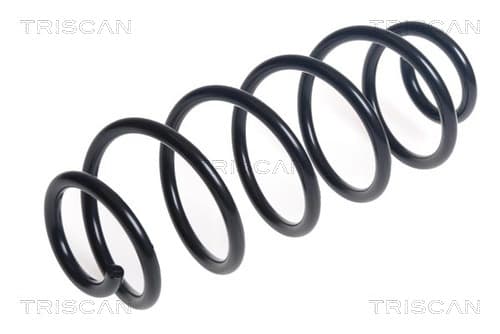 Spiralfjäder bak från TRISCAN