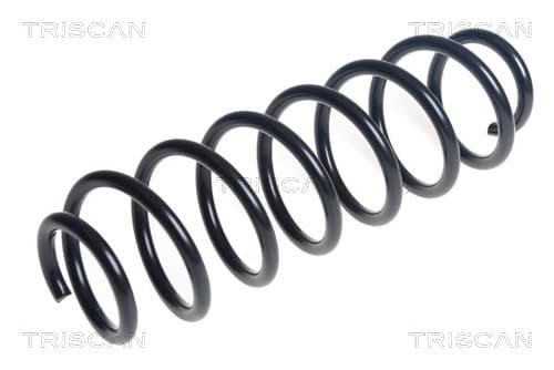 Spiralfjäder bak från TRISCAN