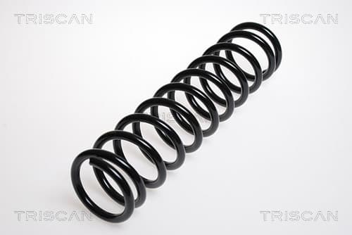 Spiralfjäder bak från TRISCAN