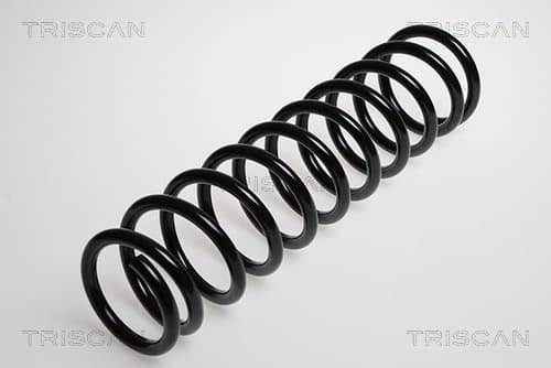 Spiralfjäder bak från TRISCAN