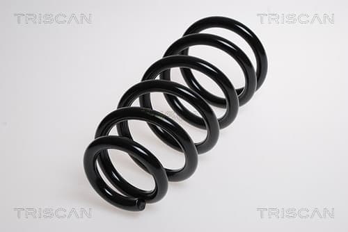 Spiralfjäder bak från TRISCAN
