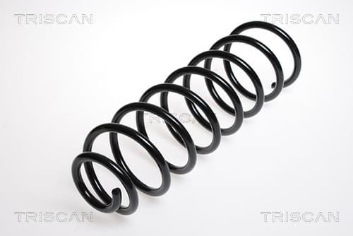 Spiralfjäder bak från TRISCAN