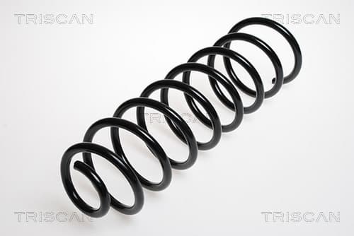 Spiralfjäder bak från TRISCAN